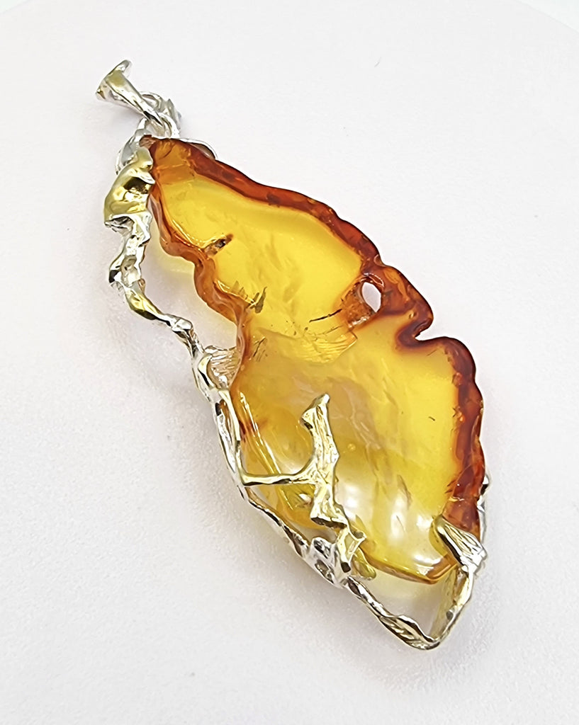 Baltic Amber: Nature's Golden Time Capsule